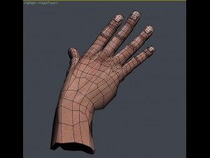 hand Model 3D