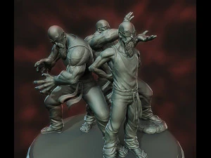 maestro roshi 3D Print Model