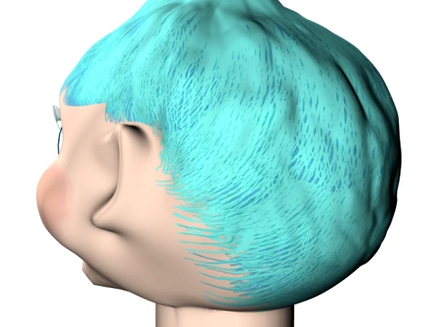 Fantasy Head Head only with all textures 3D Model