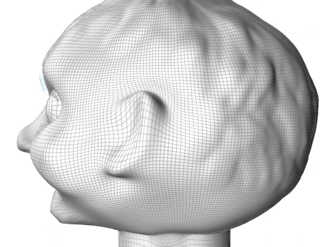 Fantasy Head Head only with all textures 3D Model