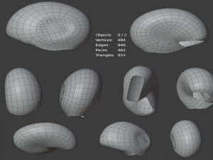low poly snail shell 3D Model