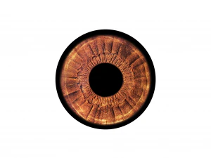 ojo modelo 3d de baja poli Modelo 3D