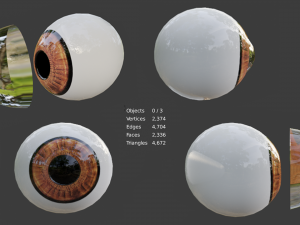 eye 3d low poly model Model 3D