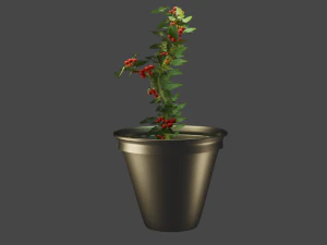 cherry tomato vegetable 3d low poly 3D Model