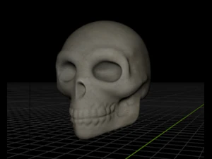 खोपड़ी 3D मॉडल