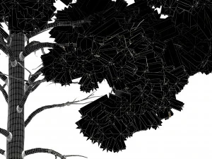 pine 2trees planting whaite 3D Model