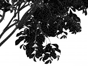 beautiful 3trees japanese cherry leaf 3D Model