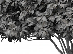 palo verde 2 trees 3D Model