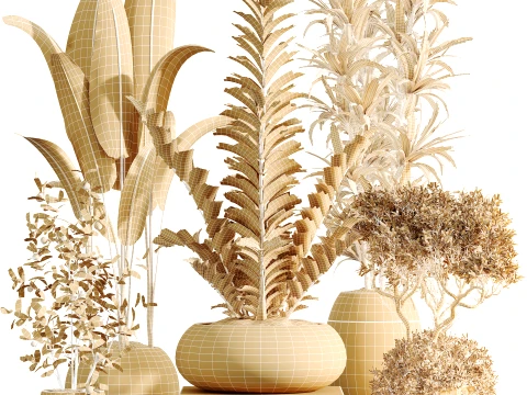 AV Indoor Plants Set 483 Zamiifolia Olive ParadiseBird Orange Tree 3D Model
