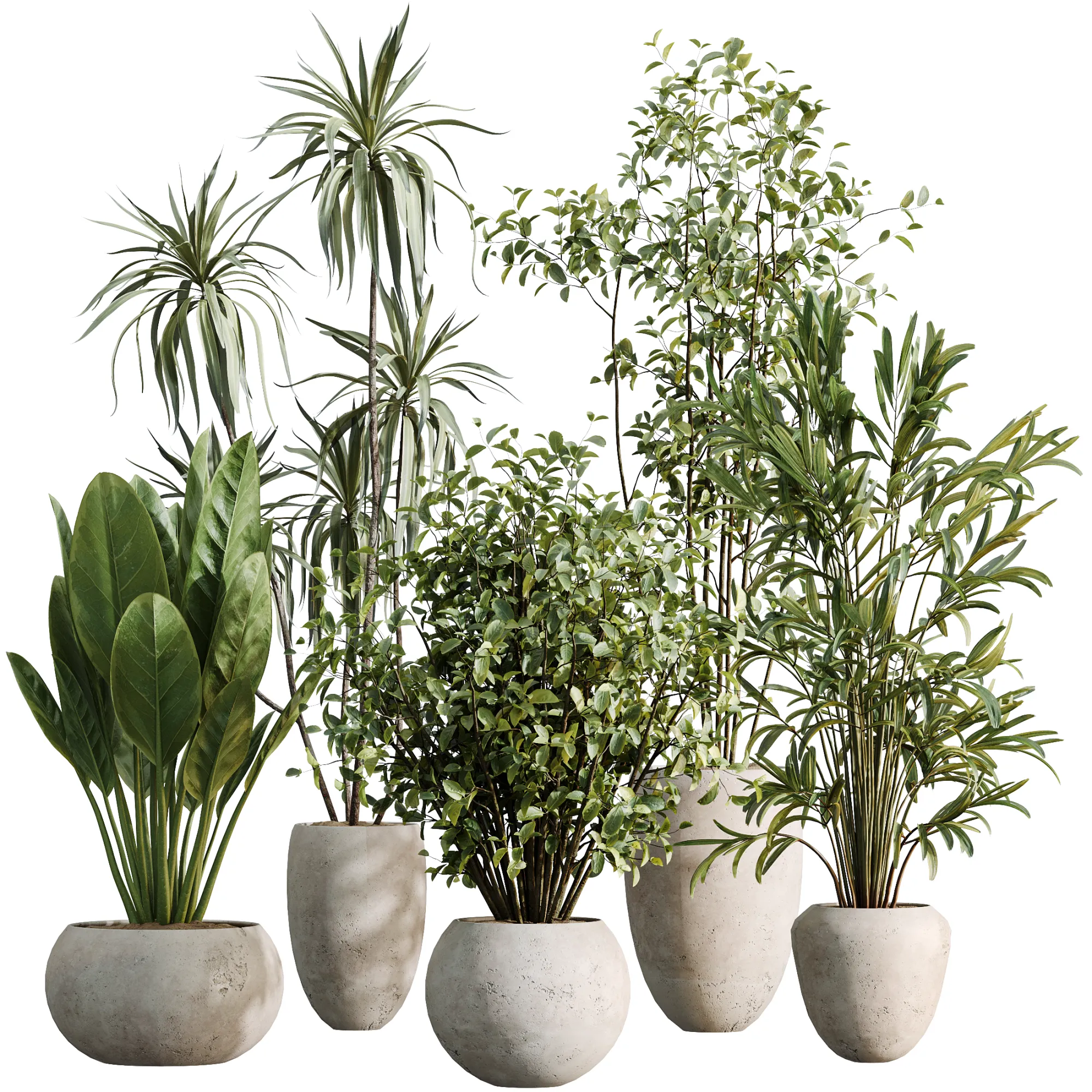AV Indoor Plants Set 484 Palm Olive Eucalyptus Ficus 3D Model .c4d .max .obj .3ds .fbx .stl .blend 