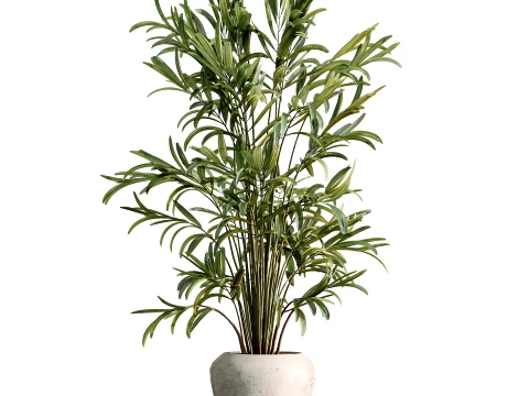 AV Indoor Plants Set 484 Palm Olive Eucalyptus Ficus 3D Model