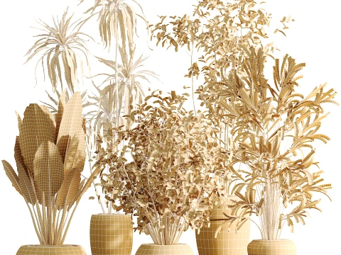 AV Indoor Plants Set 484 Palm Olive Eucalyptus Ficus 3D Model