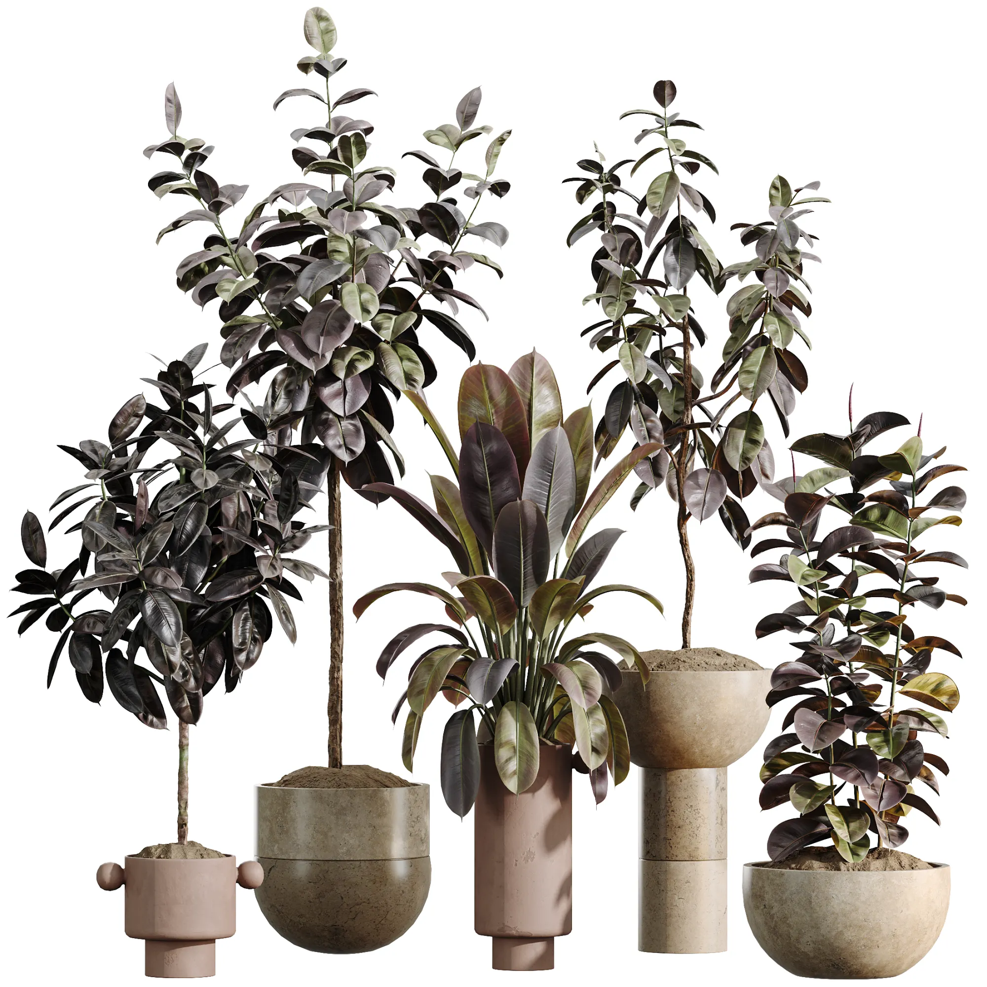 AV Indoor Plants Set 486 Rubber Ficus Elastica Abidjan Melany 3D Model .c4d .max .obj .3ds .fbx .stl .blend 