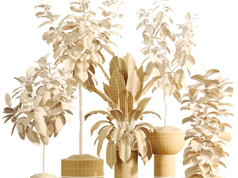 AV Indoor Plants Set 486 Rubber Ficus Elastica Abidjan Melany 3D Model