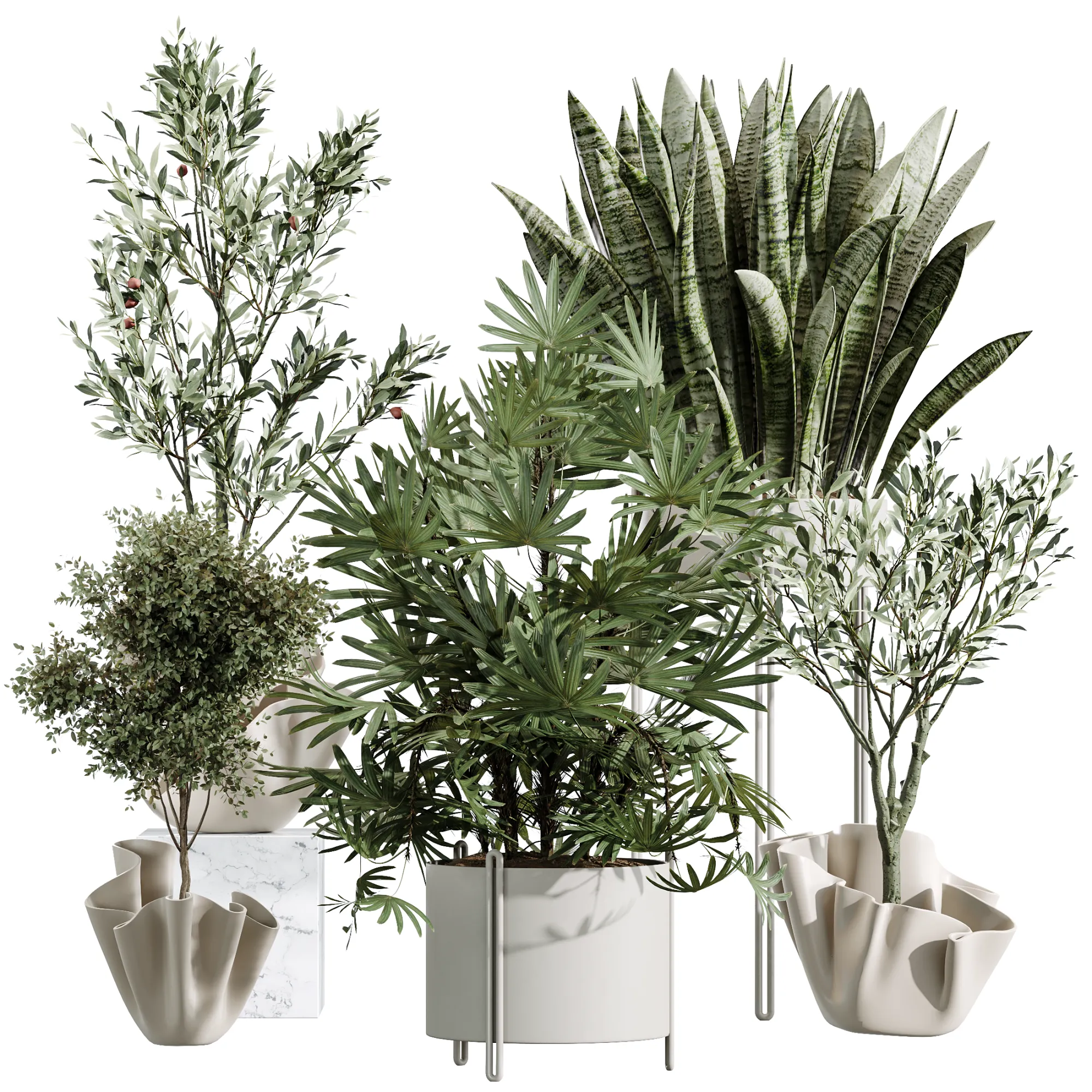 Conjunto de plantas de interior AV 487 Lady Palm e Olive Tree e Snake Sansevieria Modelo 3D .c4d .max .obj .3ds .fbx .stl .blend