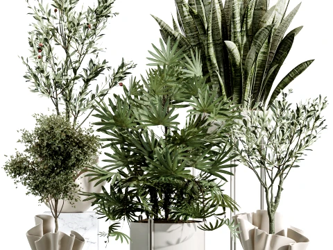 AV Kamerplantenset 487 Lady Palm en Olijfboom en Slang Sansevieria 3D Model