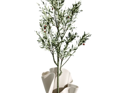 Conjunto de plantas de interior AV 487 Lady Palm e Olive Tree e Snake Sansevieria Modelo 3D
