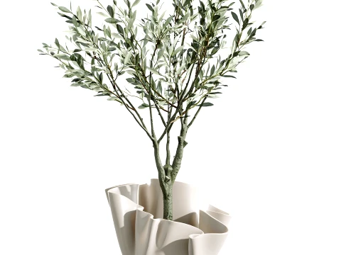 Conjunto de plantas de interior AV 487 Lady Palm e Olive Tree e Snake Sansevieria Modelo 3D