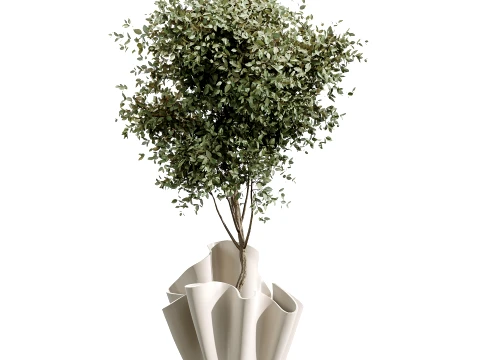 Conjunto de plantas de interior AV 487 Lady Palm e Olive Tree e Snake Sansevieria Modelo 3D