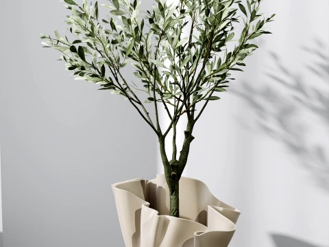 Conjunto de plantas de interior AV 487 Lady Palm e Olive Tree e Snake Sansevieria Modelo 3D