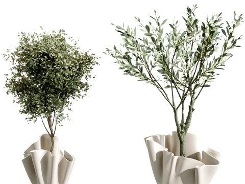 Conjunto de plantas de interior AV 487 Lady Palm e Olive Tree e Snake Sansevieria Modelo 3D