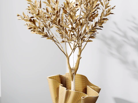 Conjunto de plantas de interior AV 487 Lady Palm e Olive Tree e Snake Sansevieria Modelo 3D