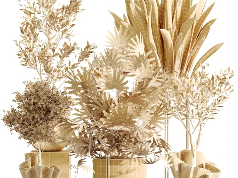 Conjunto de plantas de interior AV 487 Lady Palm e Olive Tree e Snake Sansevieria Modelo 3D