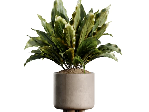 AV Indoor Plants Set 491 Palm Spathiphyllum Schefflera Umbrella ficus Olive 3D Model