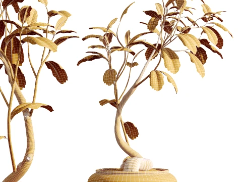 AV Indoor Plants Set 492 Ficus Bonsai Olive Eucalyptus Yucca Marginata Banana 3D Model