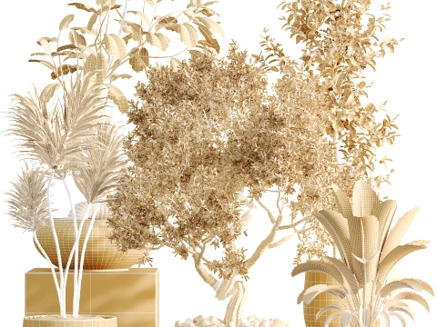 AV Indoor Plants Set 492 Ficus Bonsai Olive Eucalyptus Yucca Marginata Banana 3D Model