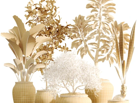 AV Indoor Plants Set 493 Coconut Palm Euphorbia Drupifera Olive Banana Briful 3D Model