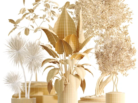 AV Indoor Plants Set 494 Olive Ficus Microcarpa Bonsai Alocasia Yucca 3D Model