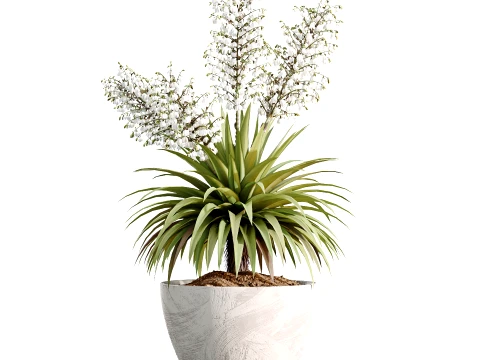 AV Indoor Plants Set 496 Yucca Banana Olive Ficus 3D Model