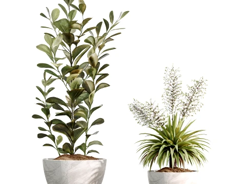 AV Indoor Plants Set 496 Yucca Banana Olive Ficus 3D Model