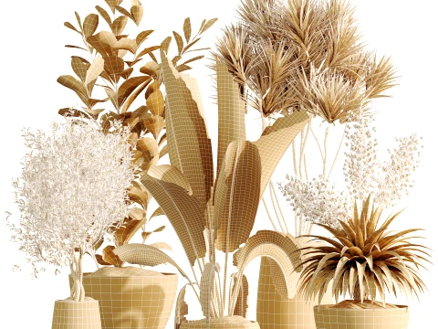 AV Indoor Plants Set 496 Yucca Banana Olive Ficus 3D Model
