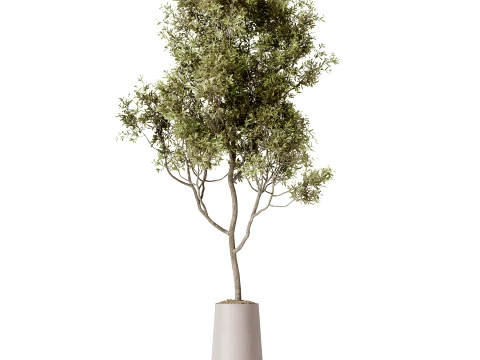 AV Indoor Plants Set 497 Ravenala Banana Olive Areca Palm 3D Model