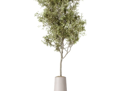 AV Indoor Plants Set 497 Ravenala Banana Olive Areca Palm 3D Model