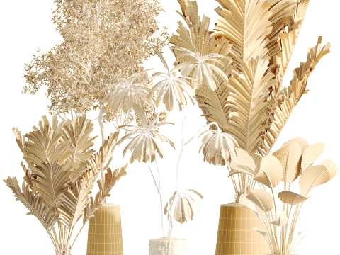 AV Indoor Plants Set 497 Ravenala Banana Olive Areca Palm 3D Model