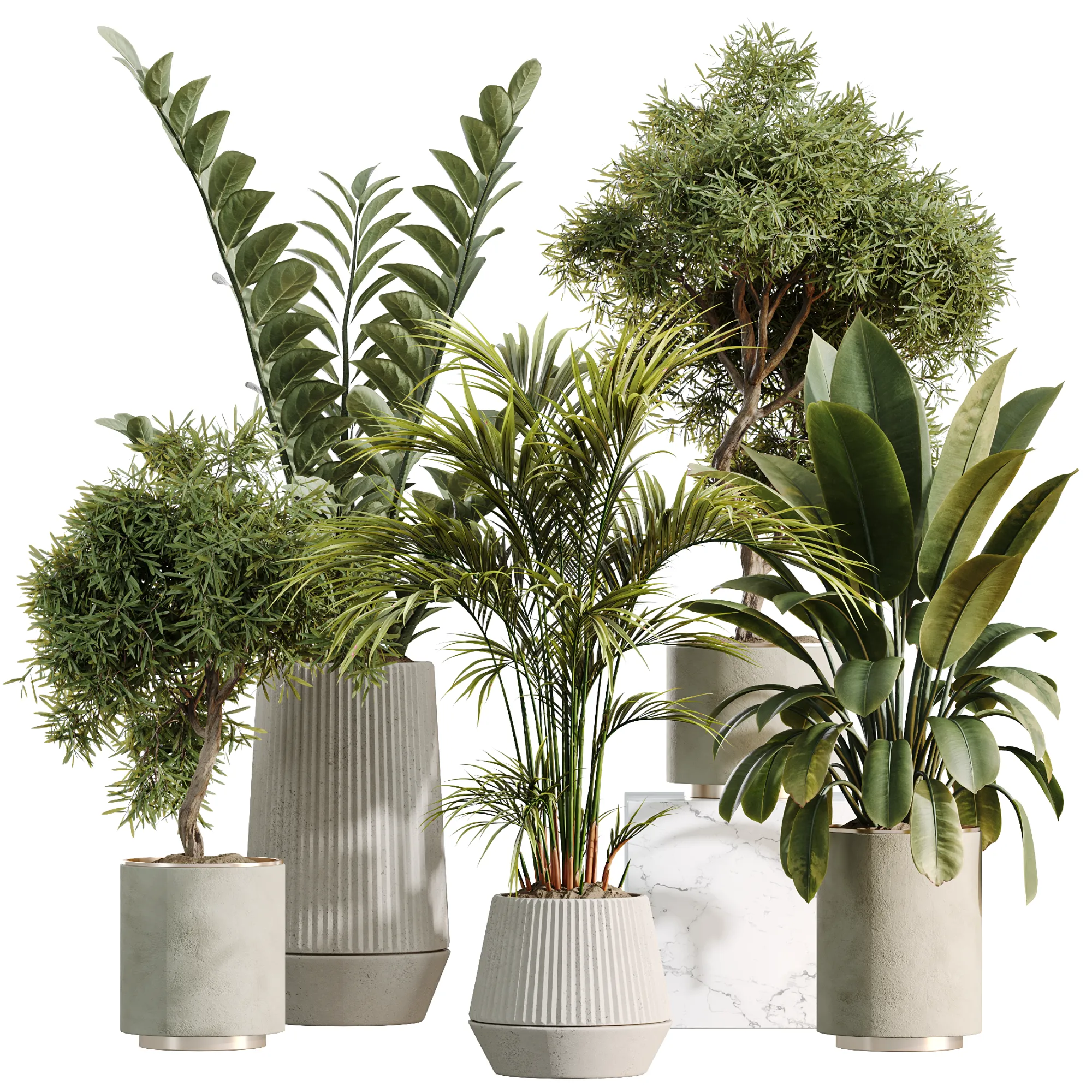 AV İ&ccedil; Mekan Bitkileri Seti 498 Kedi Kamış Palmiye Ficus Zeytin Zamioculcas 3D Model .c4d .max .obj .3ds .fbx .stl .blend 