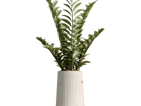 AV İ&ccedil; Mekan Bitkileri Seti 498 Kedi Kamış Palmiye Ficus Zeytin Zamioculcas 3D Model