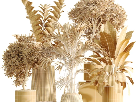 AV İ&ccedil; Mekan Bitkileri Seti 498 Kedi Kamış Palmiye Ficus Zeytin Zamioculcas 3D Model