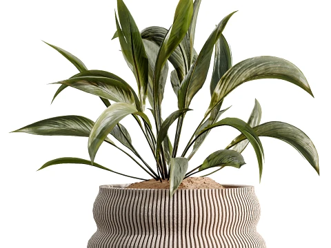 AV Indoor Plants Set 499 Peace Lily Yucca Olive Bird Paradise 3D Model