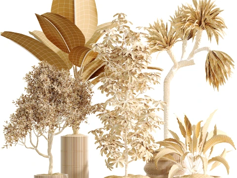 AV Indoor Plants Set 499 Peace Lily Yucca Olive Bird Paradise 3D Model