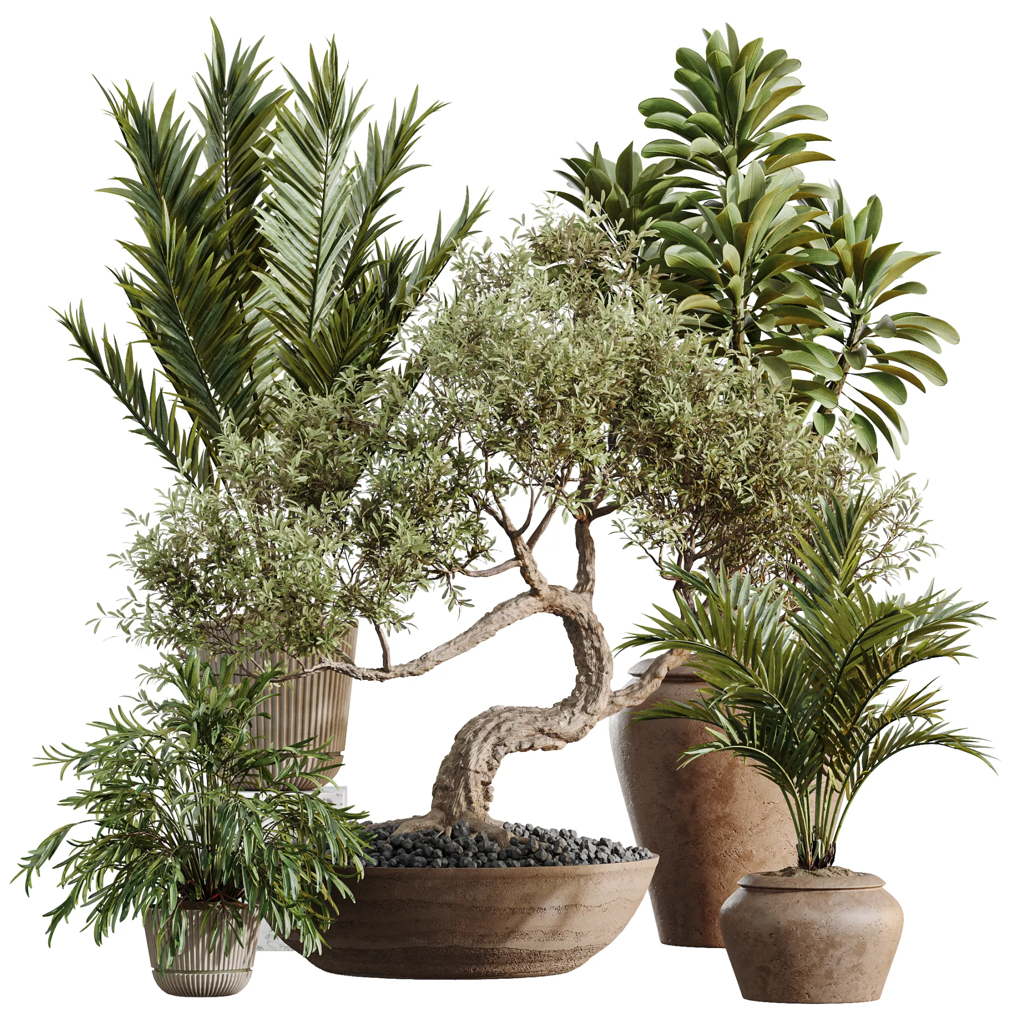 AV Indoor Plants Set 523 Areca Palm Olive Euphorbia Cyara 3D Model .c4d .max .obj .3ds .fbx .stl .blend 