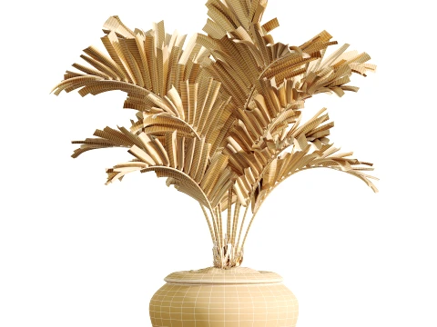 AV Indoor Plants Set 523 Areca Palm Olive Euphorbia Cyara 3D Model
