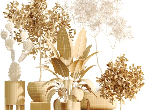 AV Indoor Plants Set 524 Pachira Ficus Dracaena Cactus 3D Model