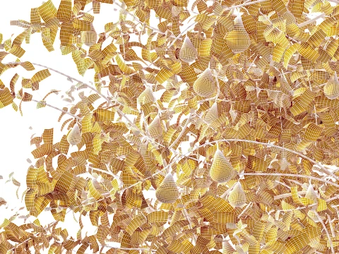 AV Plant Pear Pyrus Communis Fruit Tree 01 3D Model
