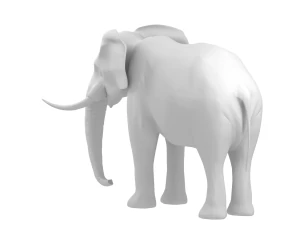 elephant elephant by 3dmasterxd 3D Model
