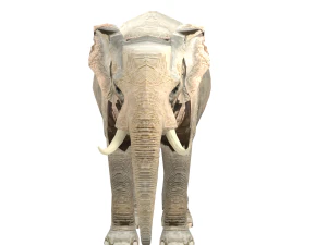elephant elephant by 3dmasterxd 3D Model