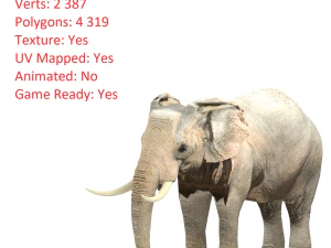 elephant elephant by 3dmasterxd 3D Model
